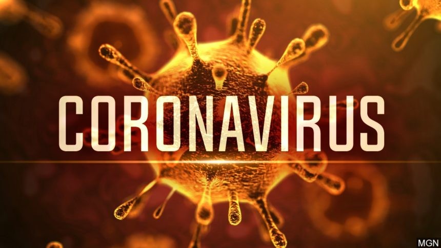 IMPORTANTE: NORME DI SICUREZZA PER CORONA VIRUS